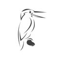 Vector of a kingfishers Black on white background. Bird Design. icon. logo. symbol. Illustrator. animal