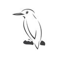 Vector of a kingfishers Black on white background. Bird Design. icon. logo. symbol. Illustrator. animal