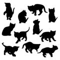 Vector kitten silhouette.