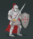 Vector knight with sword and shield