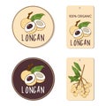 Vector labels set with longan fruit. Hand drawn tropical vietnamese fruit illustration.