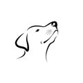 Vector of labrador dog head isolated on white background. Easy editable layered vector illustration. Animals. Pets