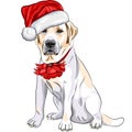 vector Labrador in the hat of Santa Claus