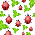 Vector ladybirds collection. White background with ladybugs. Trendy template for a postcard, stamp, banner or poster Royalty Free Stock Photo