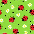 Vector ladybug and camomile flower seamless pattern