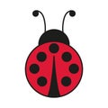 vector ladybug icon, red ladybug, bug on white background isolated Royalty Free Stock Photo