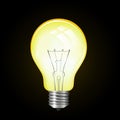 Vector Lamp bulb on the blak background Royalty Free Stock Photo