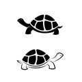 Vector of land tortoise design on white background. Easy editable layered vector illustration. Wild Animals. Amphibians