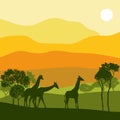 Vector landscape with giraffes Royalty Free Stock Photo