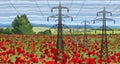 Vector landscape high voltage transmission line with pylons Royalty Free Stock Photo