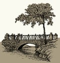 Vector landscape. A maple near the ancient stone bridge over a small river