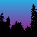 Vector forest landscape silhouette. Realistic trees, woods silhouettes in night and evening sky. Outdoor nature scene