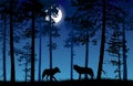 Vector landscape of two wolves in a forest at night with dark bl