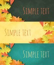 Vector large set of colorful, hand drawn style autumn leaves