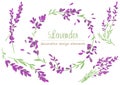 Vector lavender set. Decorative floral design elements. Royalty Free Stock Photo