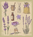 Vector lavender set Royalty Free Stock Photo