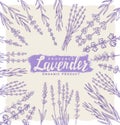 Vector lavender set Royalty Free Stock Photo