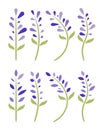 vector set of lavender violet flowers