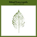 Vector leaf imprint