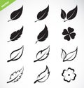 Vector leaves icon set