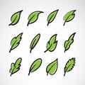 Vector leaves icon set on white background. Royalty Free Stock Photo