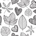 Vector leaves seamless pattern, hand drawn autumn background. Royalty Free Stock Photo