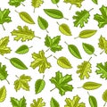 Vector Leaves Seamless Pattern Royalty Free Stock Photo