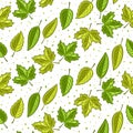 Vector Leaves Seamless Pattern Royalty Free Stock Photo