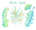 Vector leaves set