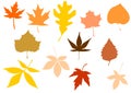 Vector Leaves Silhouette Set Royalty Free Stock Photo