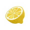 Vector lemon. An illustration with half a yellow lemon or other citrus on a white background. Citrus lemon concept, food, sliced Royalty Free Stock Photo