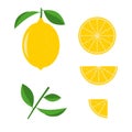 Vector lemon set on a white background. Whole, half and quarter lemon with green leaves. Royalty Free Stock Photo