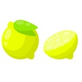 Vector Lemon. Slice of sour fruit. Funny and cute yellow element with green leaves Royalty Free Stock Photo