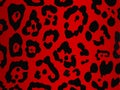 Vector leopard in red