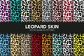 Vector Leopard Skin Seamless Pattern Set. Animal Seamless Texture Collection. Leopard, Safari Animal Skin Fashion Print Royalty Free Stock Photo