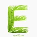 Vector letter E of juicy grass alphabet. Green E symbol consisting of growing grass. Realistic alphabet of organic