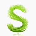 Vector letter S of juicy grass alphabet. Green S symbol consisting of growing grass. Realistic alphabet of organic