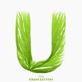 Vector letter U of juicy grass alphabet. Green U symbol consisting of growing grass. Realistic alphabet of organic