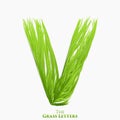 Vector letter V of juicy grass alphabet. Green V symbol consisting of growing grass. Realistic alphabet of organic