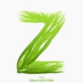 Vector letter Z of juicy grass alphabet. Green Z symbol consisting of growing grass. Realistic alphabet of organic