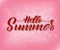 Vector lettering Hello Summer on pink background Royalty Free Stock Photo