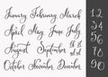 Vector Lettering months names set