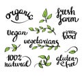 Vector lettering - organic natural food, vegan and vegetarians menu