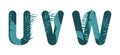 Vector letters U V W of the alphabet. Leaf design