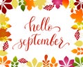Vector lifestyle lettering Hello September