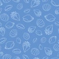 Vector light blue Seashells Doodle background pattern