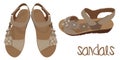 Vector Light Brown Sandals, Fashionable Look