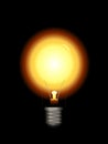 Vector Light Bulb