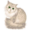Vector lilac fluffy cute cat with green eyes