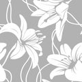 Vector lilly seamless pattern